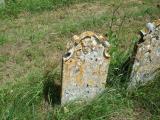 image of grave number 335196